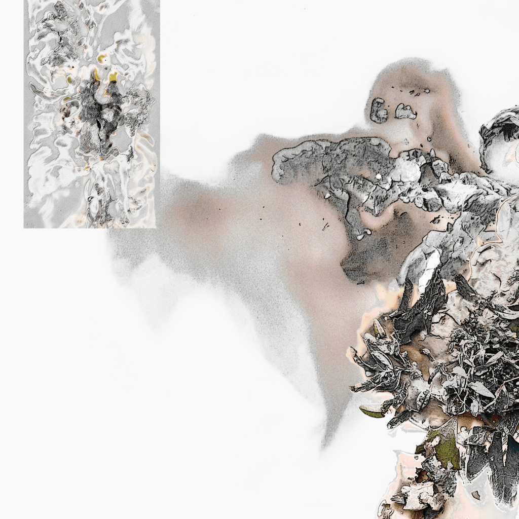 BG002 - Shape Shifting